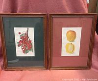 Pair of framed botanical prints with one print showing red berries, the other yellow apples. Each print is matted differently and framed in wood.