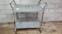 Frontal view of Amco cart showing two gray plastic shelves attached to a shiny steel frame with caster wheels. Shelves have surface scratches and dirt.