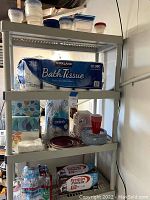 Full shelving unit showing Kirkland Bath Tissue 30 roll pack, Dixie paper cups, multiple boxes of Kleenex tissues, paper plates and food trays, assorted plastic storage containers with blue and red lids, and Premier Protein packs.