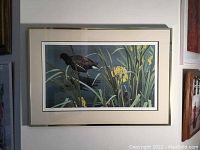 Framed limited edition print featuring gallinule birds in marshes, showing full artwork and frame.