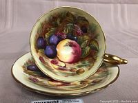 Teacup centered on matching saucer showing fruit motif and gold gilt trim