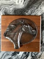 Full view of the bronze horse head relief plaque mounted on wooden backing.