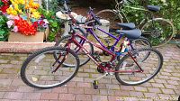 Two mountain bikes side by side on brick paving with flower boxes behind, showing overall condition and style of bikes, one red and one purple.