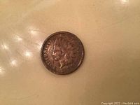 Front obverse view of 1896 Indian Head Cent showing Indian head profile, date, and surrounding text on a reddish copper alloy surface.