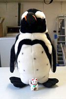 Front view of plush penguin with small waving cat figurine at its feet.