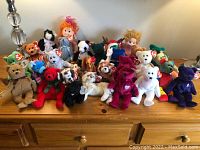 Front view of 24 assorted TY Beanie Babies plush toys and a rag doll arranged on wooden surface