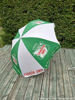 Green and white umbrella canopy showing Canada Dry logo on a wooden deck