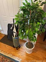 Overall view of the plant, umbrellas, walking sticks in holder, and shoe mat near entry door