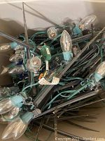 Close-up image showing clear white jumbo bulbs on green wiring with attached black stakes for outdoor placement.