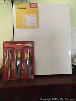 Photo showing the unopened five-pack of Premiere by Nicole 16x20 canvases beside the packaged paint brushes.