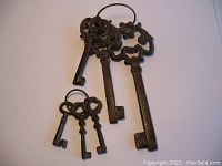 Photo of all six cast iron skeleton keys grouped on two closed metal rings on white background.