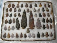Box of 52 small notched arrowheads and 4 larger spearheads arranged on cotton padding.