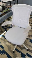 Front perspective of white Belnick office chair with padded and adjustable armrests, mesh backrest, and caster wheels.