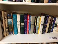 Shelf showing the front side of various books including titles like 'Manic 5,' 'Mortal Friends,' and 'Philadelphia Fire.'