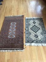 Both Persian style rugs side by side on wood floor showing color and size difference