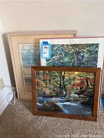 Three framed wall art pieces leaning against a wall on carpeted floor including a wooden framed nature stream, a pink framed garden scene with a girl, and a framed floral abstract