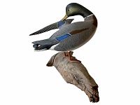 Side profile view of painted wooden duck decoy mounted on driftwood base
