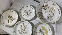 Five piece pasta set with four plates and one serving bowl, displaying botanical herb illustrations with names: rosemary, basil, parsley, thyme.