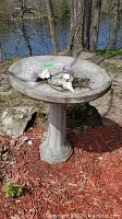 Front view of cement bird bath showing round shallow basin with some dirt and small debris inside and a few decorative items resting on the edge, placed outdoors on mulch near a sandy shore and water body.