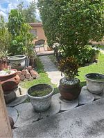 Patio area with various terracotta and ceramic pots positioned on concrete stepping stones and grass. Some pots contain plants and white decorative stones.