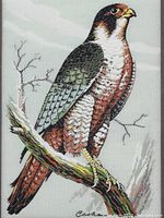 Close-up of the woven silk peregrine falcon artwork showing detailed coloration and signature.