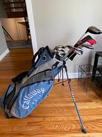 Side view of stand bag with clubs installed showing bag color and stand