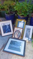 Seven framed artworks displayed outdoors on ground and among potted plants, diverse sizes and frame styles visible.