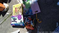 Photo showing dwarf tree kit box, Nerf toy package, pop it toys, helmets, green balloons, assorted bags and small items on pavement