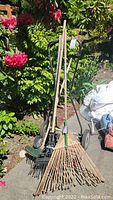 Overview of three rakes and Craftsman push mower arranged upright outdoors on pavement with plants in background.