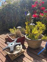 Outdoor photo showing multiple pots with plants including a large beige ceramic pot with yellow-green shrub, red wooden planter, terracotta pot with embossed design, and a metal rolling plant stand with wheel damage.