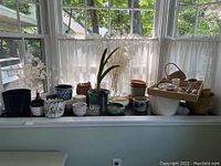 Wide view showing planters, pots, baskets, and live plants placed on a windowsill with natural light