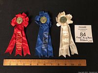 Lot of three Canadian National Exhibition dog show ribbons in red, blue, and white silk with gold text, displayed next to a ruler for size reference.