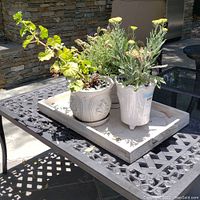 Two potted plants placed on a rectangular wooden tray on a black metal table outdoors.