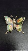 Front view of the vintage butterfly pin showing iridescent multicolor wings and gold-tone metal body on a black background