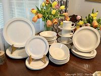 Wide view of the full set showing plates, bowls, cups, and saucers arranged with decorative flowers in background.