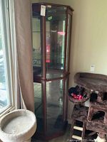 Full view of tall wood and glass display cabinet with glass shelves and doors, beside a cat tree and a window