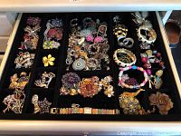 Top view of multiple compartments filled with various earrings, bracelets, and pins arranged in a black velvet jewelry tray.