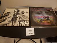 Two vinyl records placed side by side on a black surface with a label '229' in front.