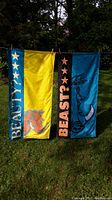 Two vertical rectangular outdoor banners hanging side by side on a clothesline in a grassy yard. One yellow and blue with 'BEAUTY?' text and warthog image, the other blue and black with 'BEAST?' text and warthog image.
