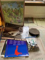 Photo showing framed jungle animal poster, multiple posters including a white tiger poster, vintage brown zoo hat and zip bag of assorted zoo buttons and pins.