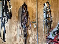 Photo showing multiple bridles and halters hanging against a wooden wall, including leather and nylon bridles and halters.
