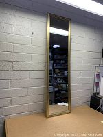 Front view of the full-length dressing mirror with gold frame, showing the reflective surface and gold border.