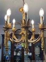Front view of the gold metal chandelier with six candle-style lights illuminated.