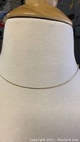 Full length view of the thin 14kt gold chain necklace on display.