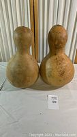 Front view of two Hawaiian bottle gourd instruments side by side on white table with natural surface wear and marks.