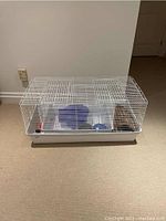 Photo of one white wire pet cage with plastic base containing blue shelter, water feeder, bowls, and a small terrain platform on beige carpet.