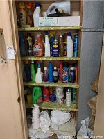 Full view of shelving unit filled with various household cleaning products including sprays, liquids, and aerosols.