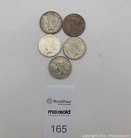 Five 1923 Peace silver dollars arranged with lot tag