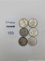 Six Morgan silver dollars arranged in two columns of three on white background with lot number card