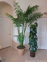 Full view of two artificial plants side by side showing their height and pots